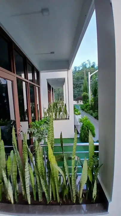 Poolside Premium Twin terrace